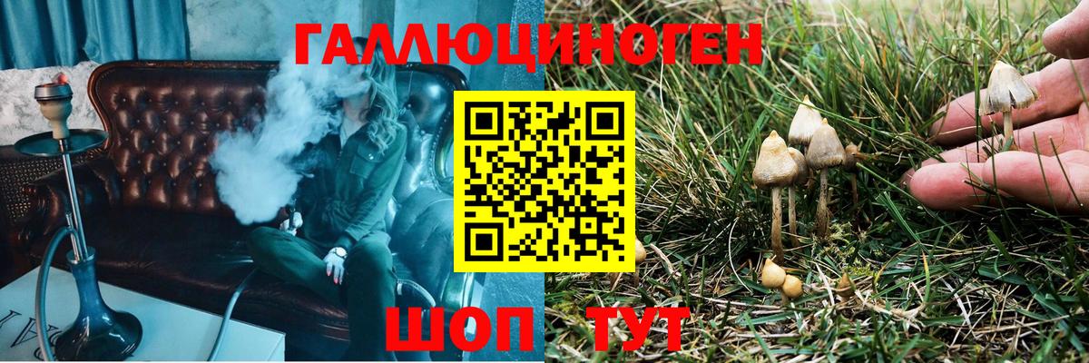 Псилоцибиновые грибы Cubensis Карталы