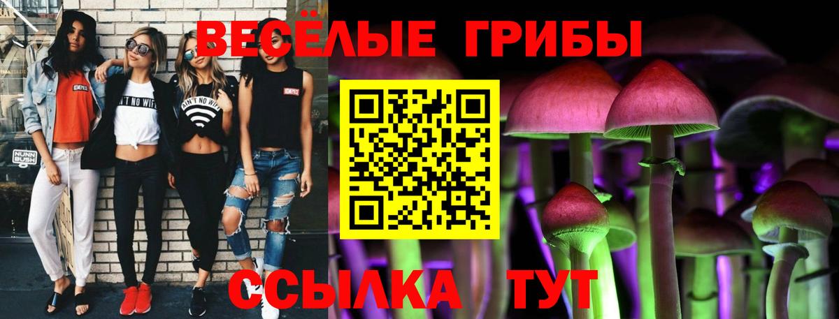 Карталы  наркотики  Вход с VPN  Псилоцибиновые грибы мухоморы  Галлюциногенные грибы мухоморы 